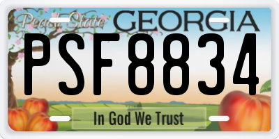 GA license plate PSF8834
