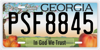 GA license plate PSF8845