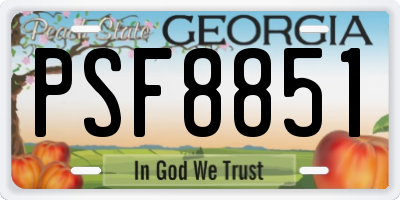 GA license plate PSF8851