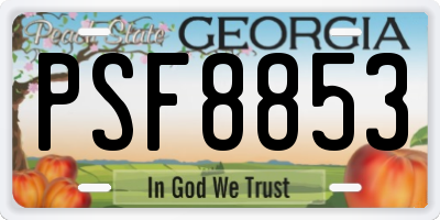 GA license plate PSF8853