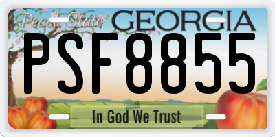 GA license plate PSF8855