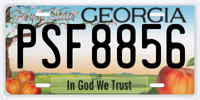 GA license plate PSF8856