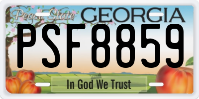 GA license plate PSF8859