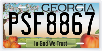 GA license plate PSF8867