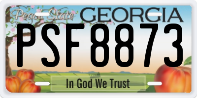 GA license plate PSF8873
