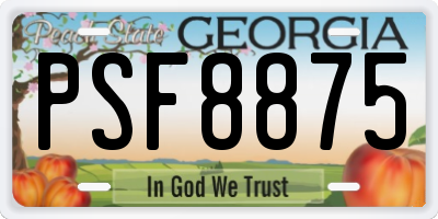 GA license plate PSF8875