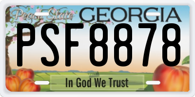 GA license plate PSF8878