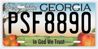 GA license plate PSF8890