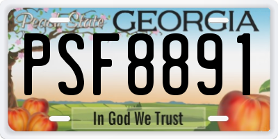 GA license plate PSF8891