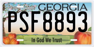 GA license plate PSF8893