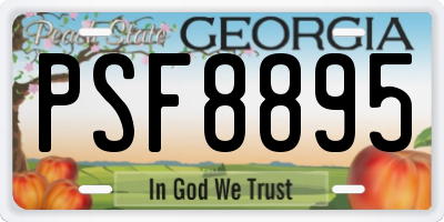 GA license plate PSF8895