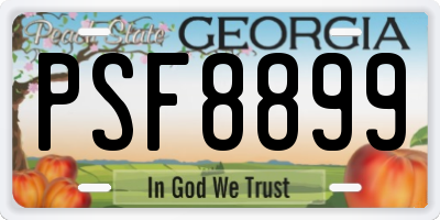 GA license plate PSF8899
