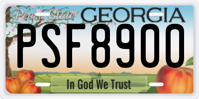 GA license plate PSF8900