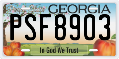 GA license plate PSF8903