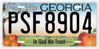 GA license plate PSF8904