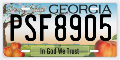 GA license plate PSF8905