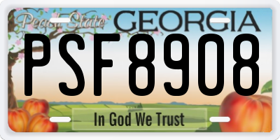 GA license plate PSF8908