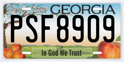 GA license plate PSF8909