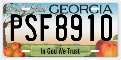 GA license plate PSF8910