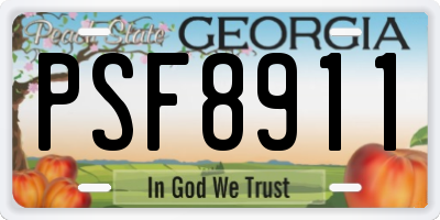 GA license plate PSF8911