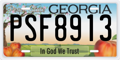GA license plate PSF8913