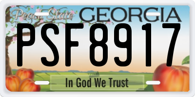 GA license plate PSF8917