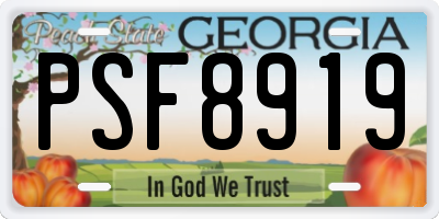 GA license plate PSF8919