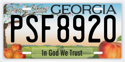 GA license plate PSF8920