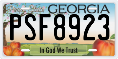 GA license plate PSF8923