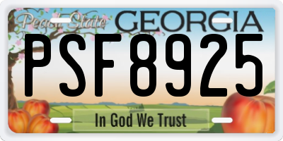 GA license plate PSF8925