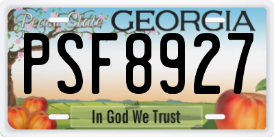 GA license plate PSF8927