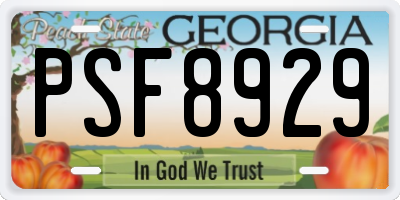GA license plate PSF8929