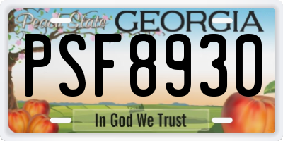 GA license plate PSF8930