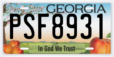 GA license plate PSF8931