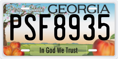 GA license plate PSF8935