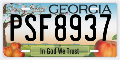 GA license plate PSF8937