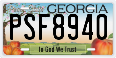 GA license plate PSF8940