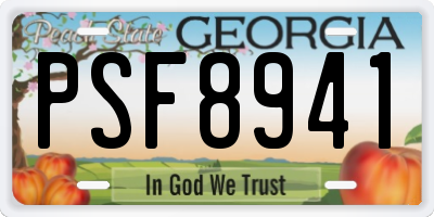 GA license plate PSF8941