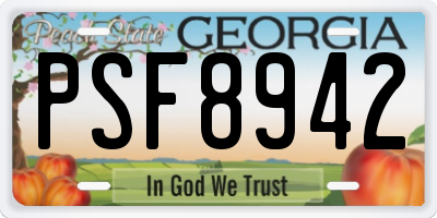 GA license plate PSF8942
