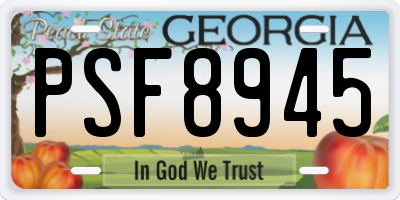 GA license plate PSF8945