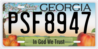 GA license plate PSF8947