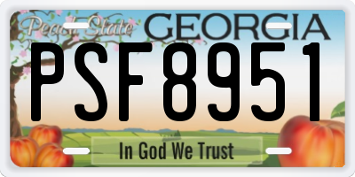 GA license plate PSF8951