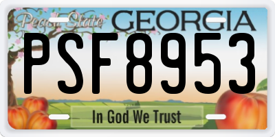 GA license plate PSF8953