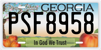 GA license plate PSF8958