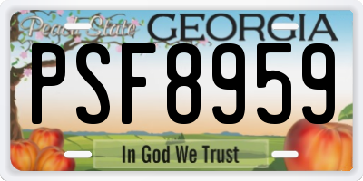 GA license plate PSF8959