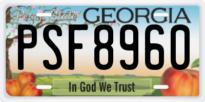 GA license plate PSF8960
