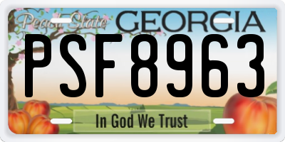 GA license plate PSF8963