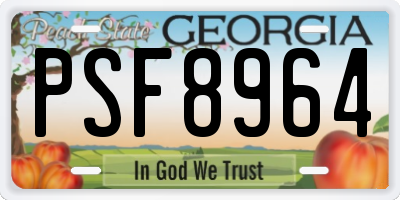 GA license plate PSF8964