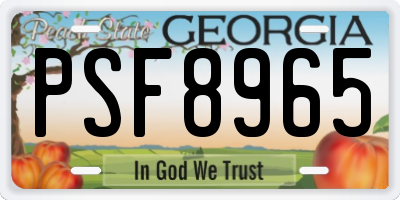GA license plate PSF8965