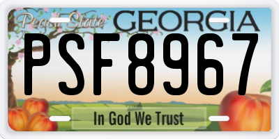 GA license plate PSF8967